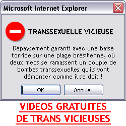 BelleTrans
