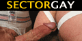 sector gay