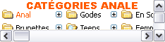 Sodomies