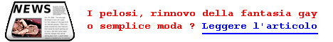 Uomini Pelosi