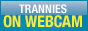 Trannies On WebCam