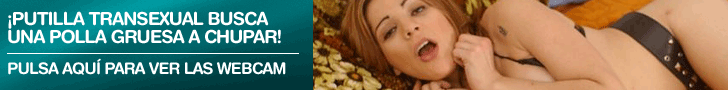 videos de travestis